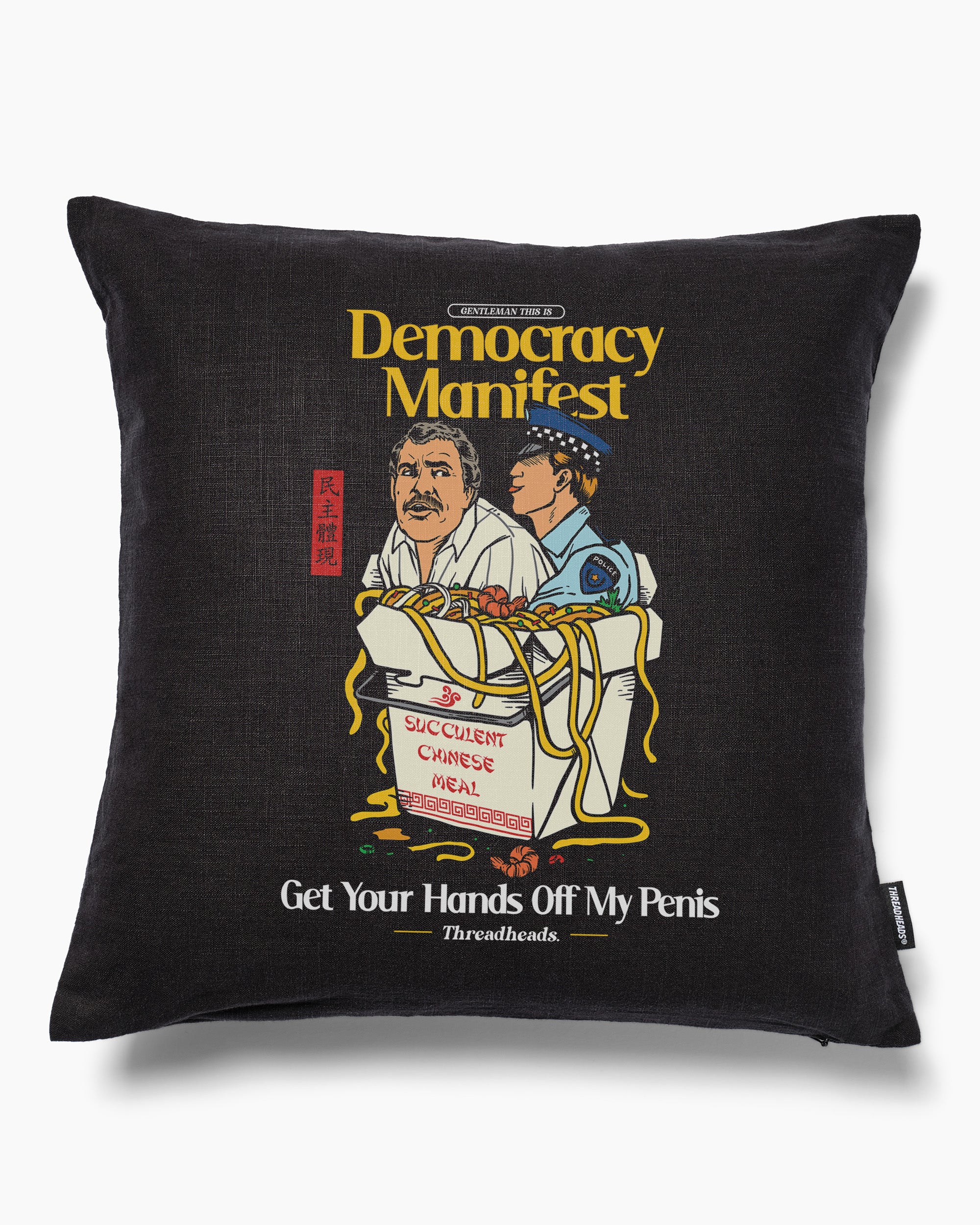 Democracy Manifest Volume II Cushion