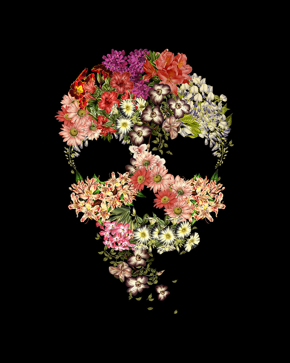 Skull Floral Decay Sweater Australia Online #colour_black