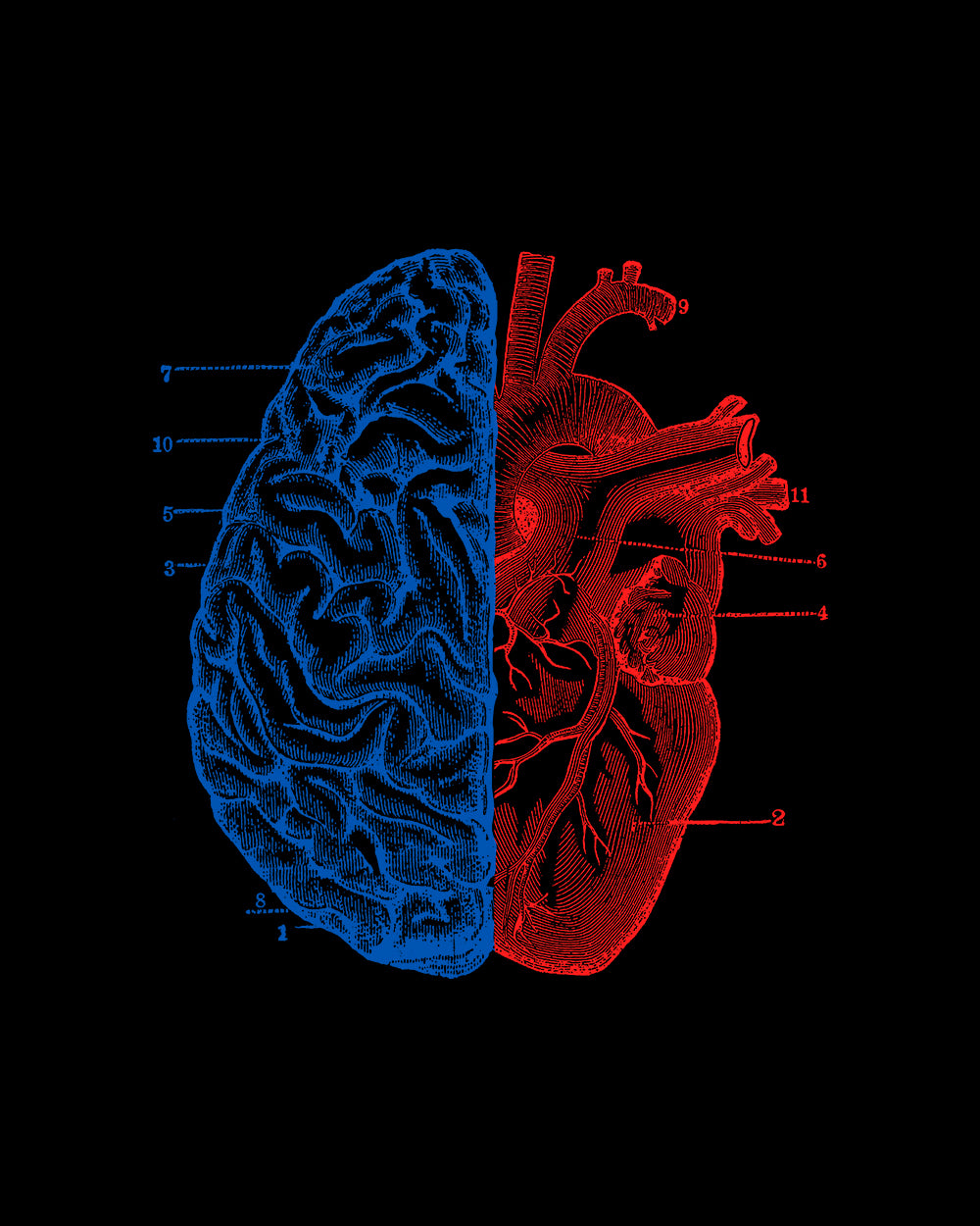 Heart and Brain T-Shirt Europe Online #colour_black